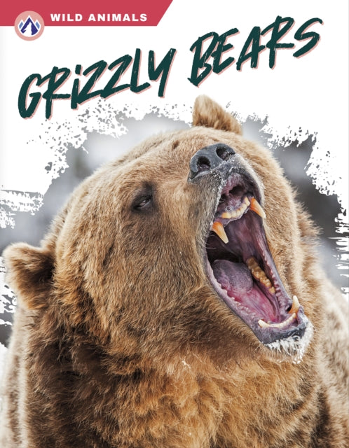 Wild Animals: Grizzly Bears