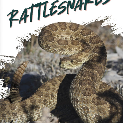 Wild Animals: Rattlesnakes