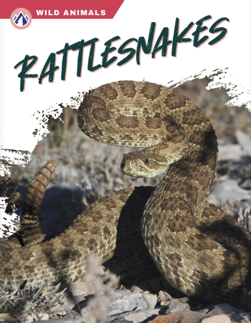 Wild Animals: Rattlesnakes