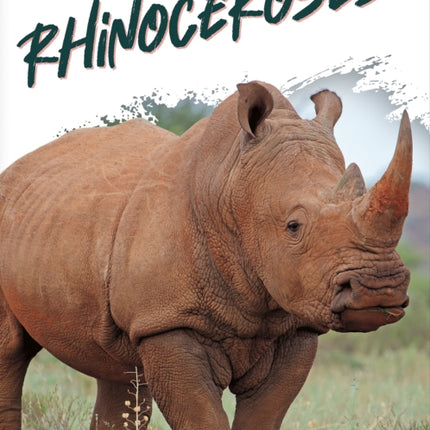 Wild Animals: Rhinoceroses