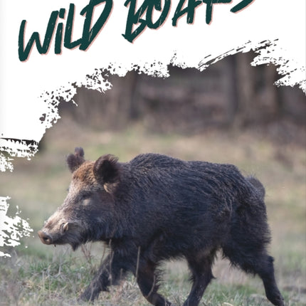 Wild Animals: Wild Boars