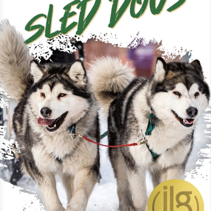 Dogs at Work: Sled Dogs