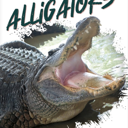 Wild Animals: Alligators