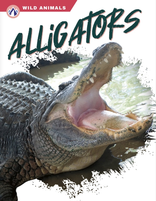 Wild Animals: Alligators