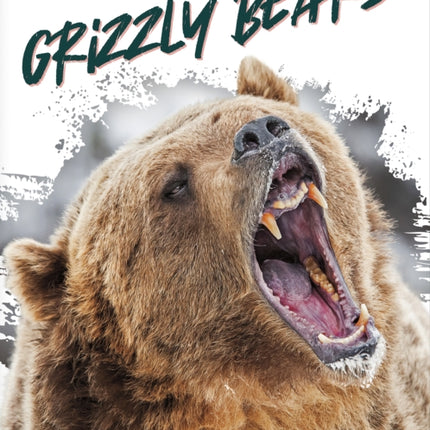 Wild Animals: Grizzly Bears