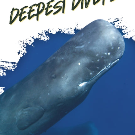 Animal Extremes: Deepest Divers