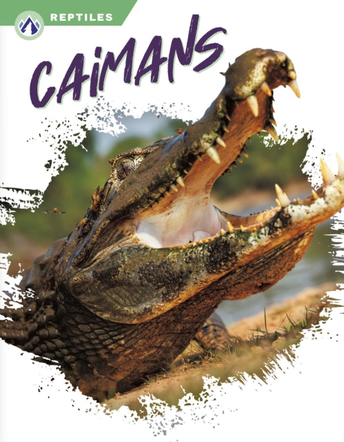 Reptiles: Caimans