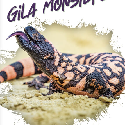 Reptiles: Gila Monsters