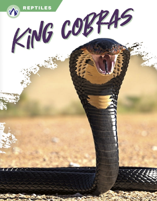 Reptiles: King Cobras