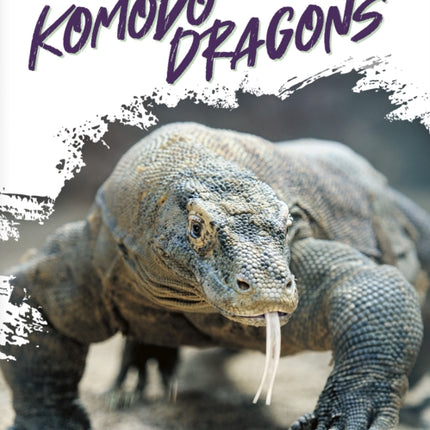 Reptiles: Komodo Dragons