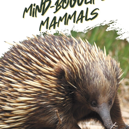 Animal Extremes: Mind-Boggling Mammals