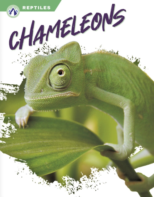 Reptiles: Chameleons