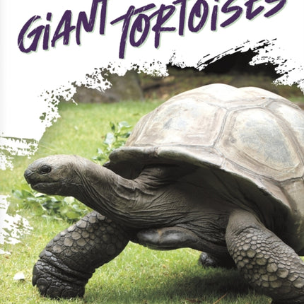 Reptiles: Giant Tortoises