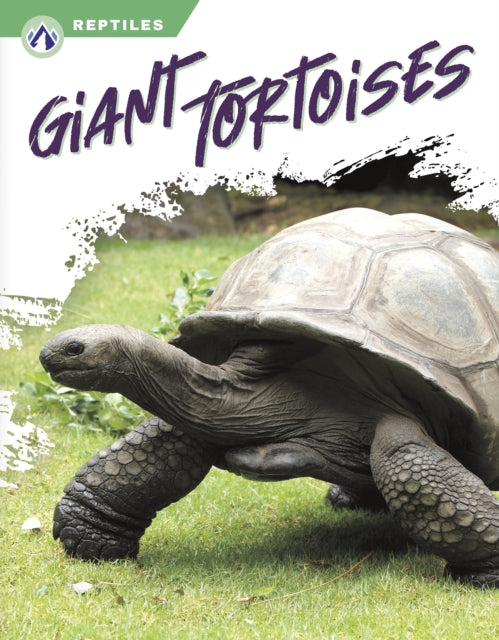 Reptiles: Giant Tortoises