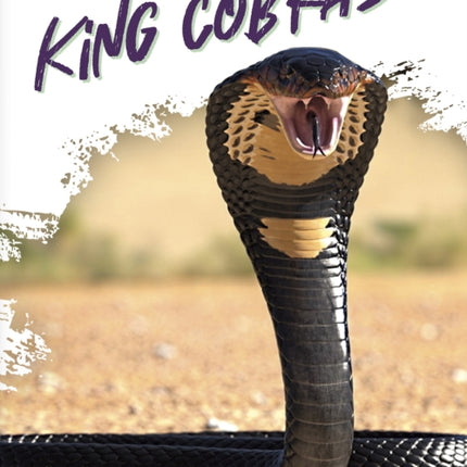 Reptiles: King Cobras