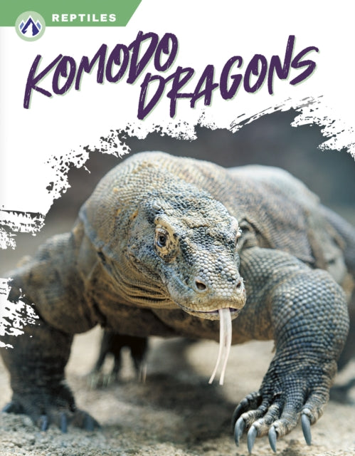 Reptiles: Komodo Dragons