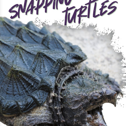 Reptiles: Snapping Turtles