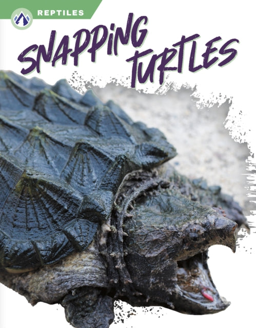 Reptiles: Snapping Turtles