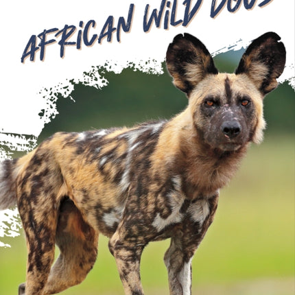 Predators: African Wild Dogs