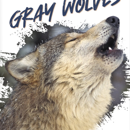 Predators: Gray Wolves