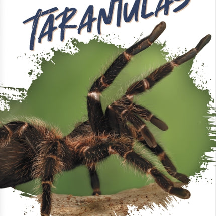 Predators: Tarantulas