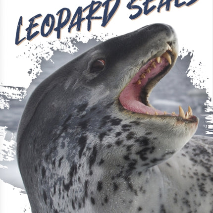 Predators: Leopard Seals