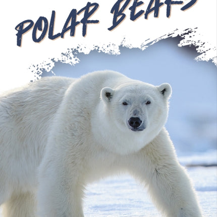 Predators: Polar Bears