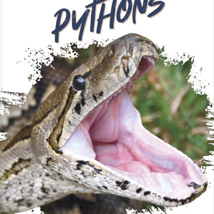 Predators: Pythons