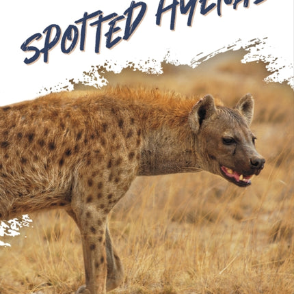 Predators: Spotted Hyenas