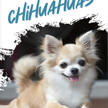 Chihuahuas