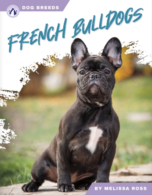 Dog Breeds French Bulldogs