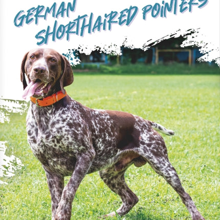 German Shorthaired Pointers