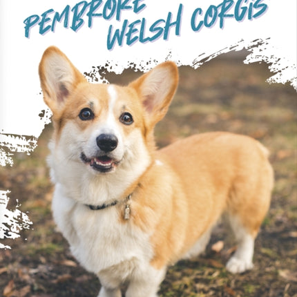 Pembroke Welsh Corgis