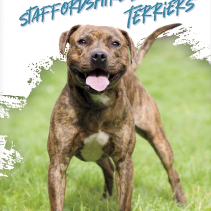 Staffordshire Bull Terriers