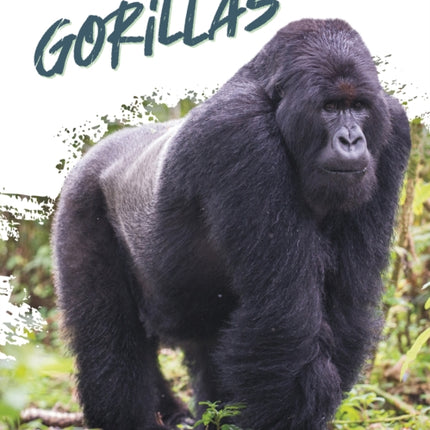 Gorillas