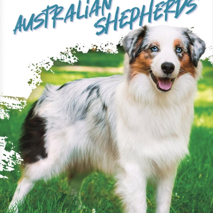 Australian Shepherds
