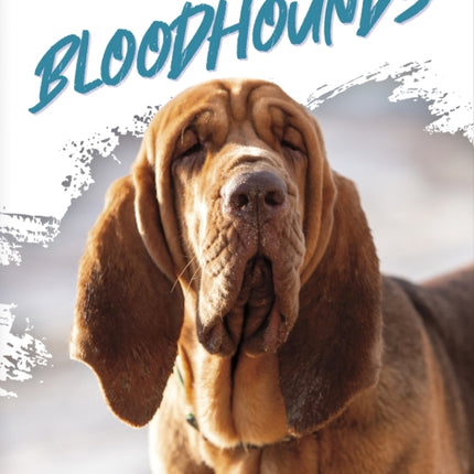 Bloodhounds