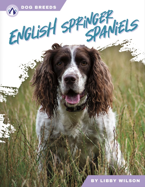 Dog Breeds English Springer Spaniels