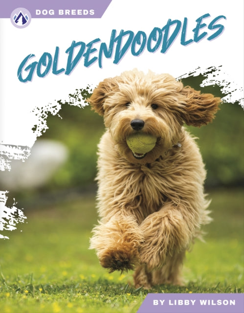 Dog Breeds Goldendoodles