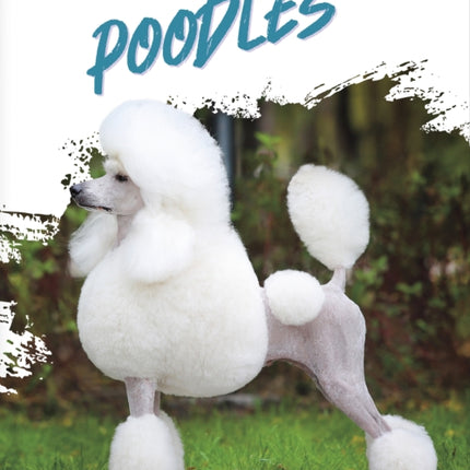 Dog Breeds Poodles