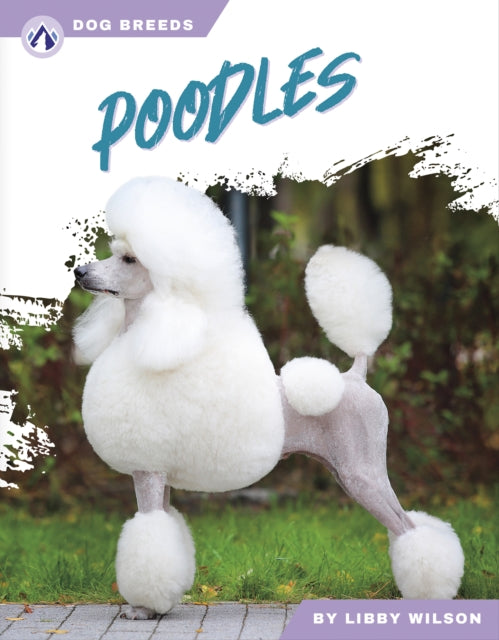 Dog Breeds Poodles