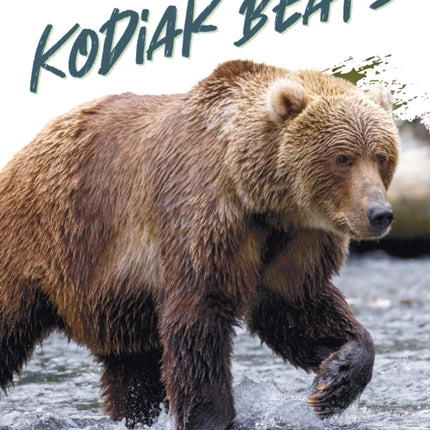 Natures Giants Kodiak Bears