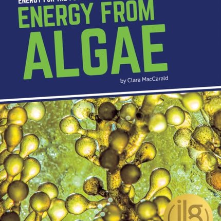 Energy for the Future: Energy from Algae