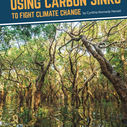 Fighting Climate Change With Science: Using Carbon Sinks to Fight Climate Change