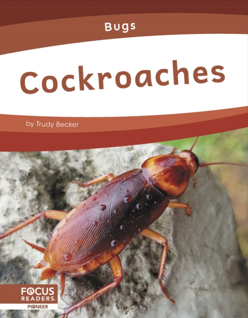 Bugs: Cockroaches