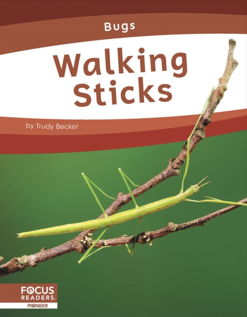 Bugs: Walking Sticks