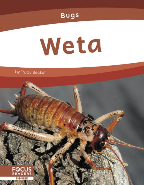 Bugs: Weta