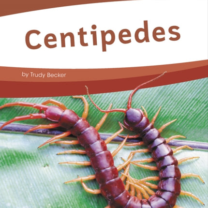 Bugs: Centipedes