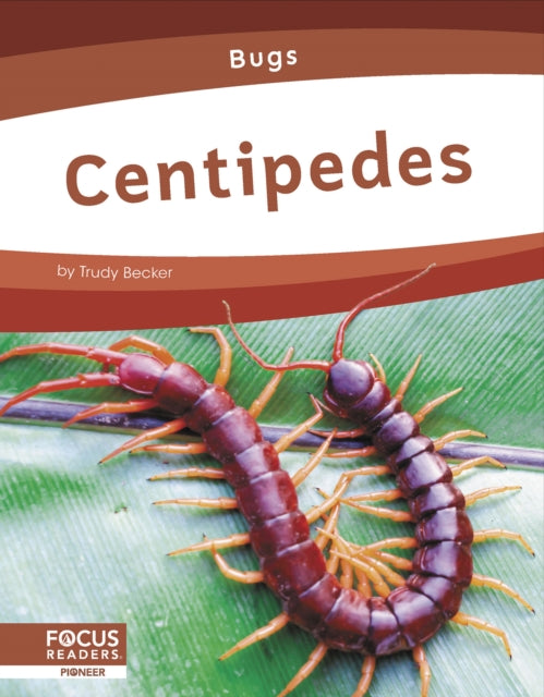 Bugs: Centipedes