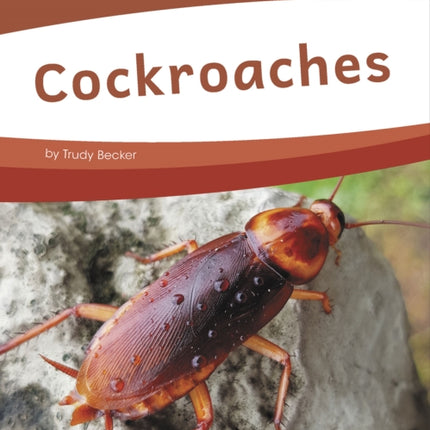 Bugs: Cockroaches